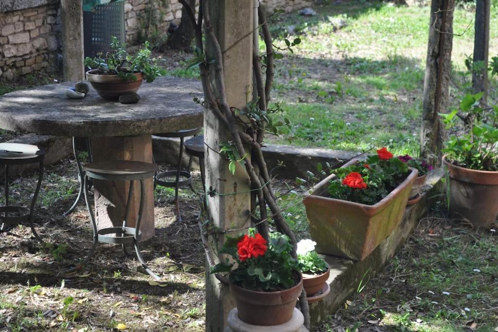 Il Profumo Del Lauro Lägenhet Perugia Exteriör bild